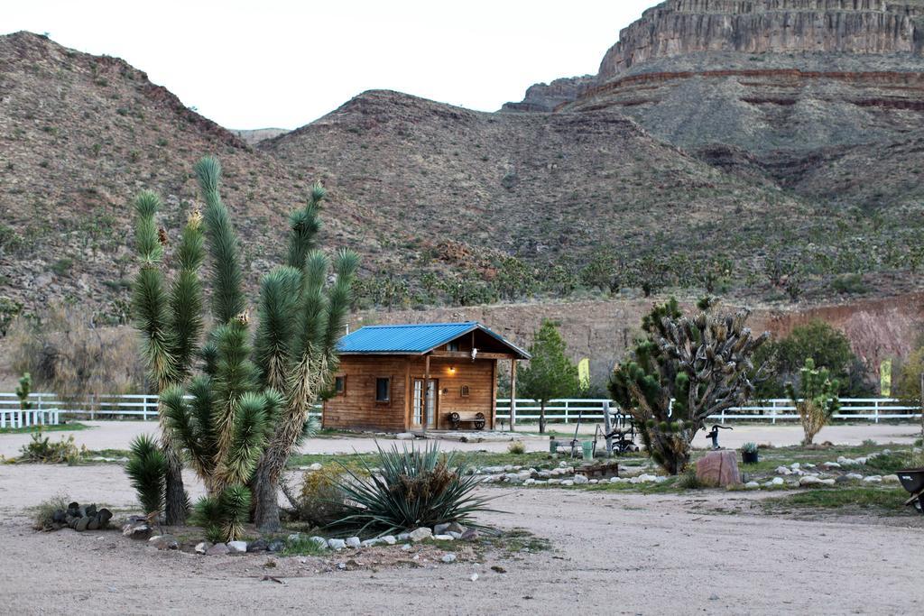 Grand Canyon Western Ranch Meadview Kültér fotó